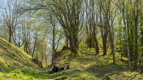 Stenders Quarry- Nathan Millar