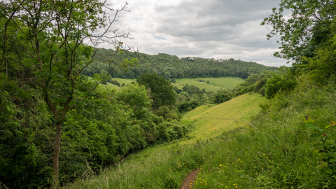 A view of the valley from Snows Farm 