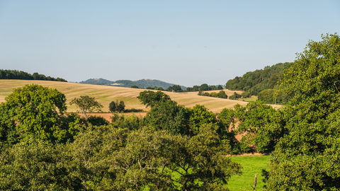 Ketford Banks views