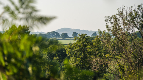 Ketford Bank views