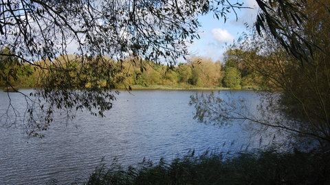 Whelford Lake view From Bird Hide