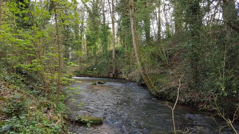 Frome Banks nature reserve