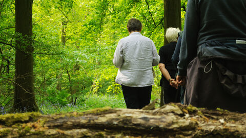 People walking in a woodland
