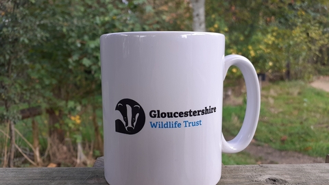 coffee mug landscape