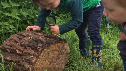Child with magnifying glass looking at log