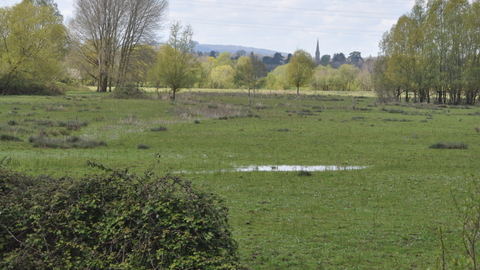 Alney_Island