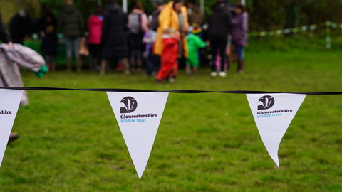 Family activities in the background, bunting with the GWT logo in the foreground.