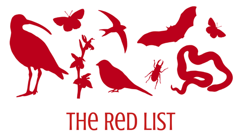 Red Silhouettes of animals over the words "The Red List"