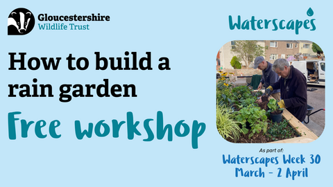 How to build a rain garden in text with a picture of men working on a rain garden