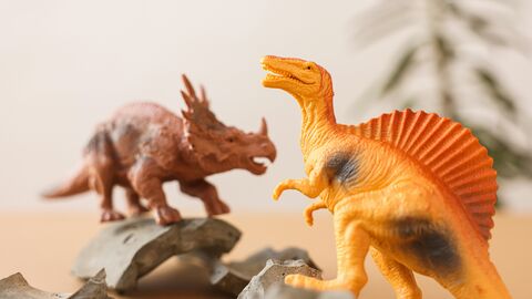 Model Dinosaurs