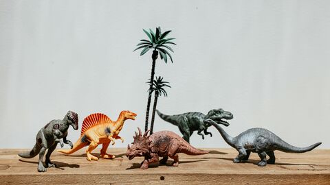 Model dinosaurs in a group