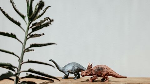 2 Model Dinos
