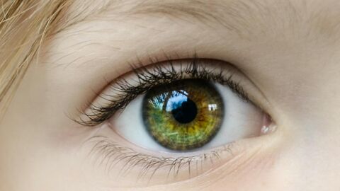 Hazel child's eye in close up
