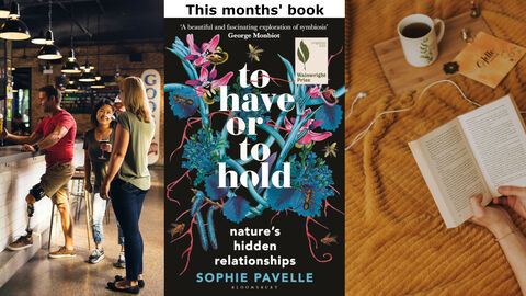 A Triptych showing: People at a bar: The cover of the Book "To have or to hold" by Sophie Pavelle: Close up on someone reading a book