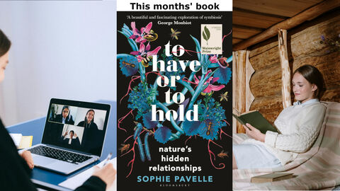 A Triptych: Women on zoom call, cover of the have or to hold, woman reading a book in a log cabin