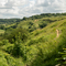 Trails at Crickley Hill 