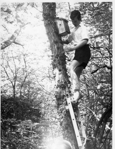 Betty Daw's Wood nature reserve nestbox scheme