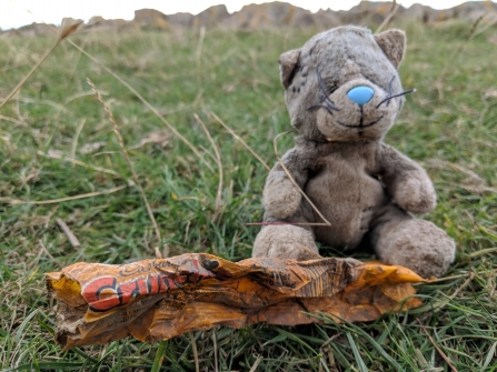 Severn Beach Clean