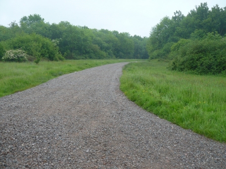 Lower Woods Improved Track