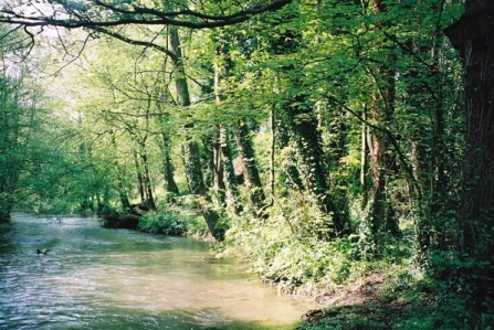 Frome Banks (c) Jeremy Doe