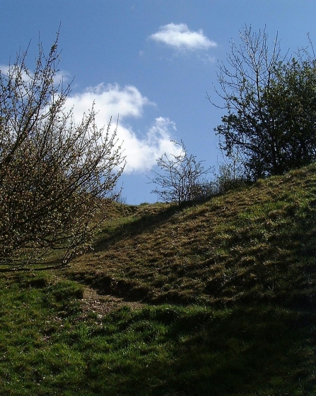 Swift's Hill (c) GWT