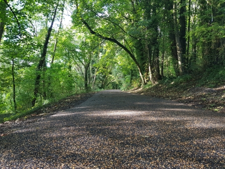 ERDF Stroud