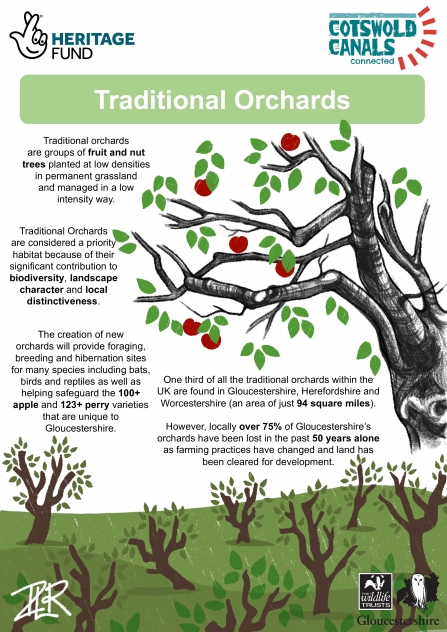 Traditional Orchards