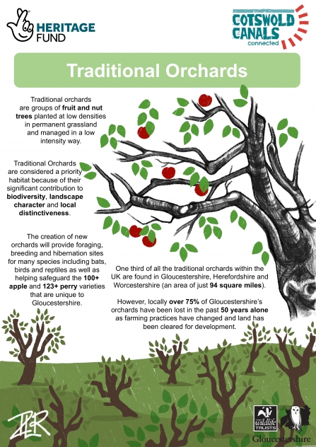 Traditional Orchards