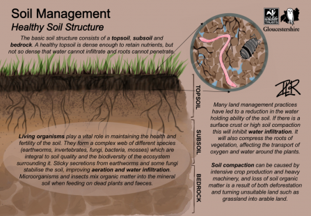 Healthy Soil Structure