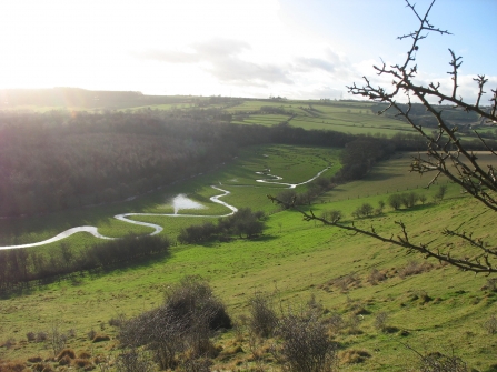 Meandering river