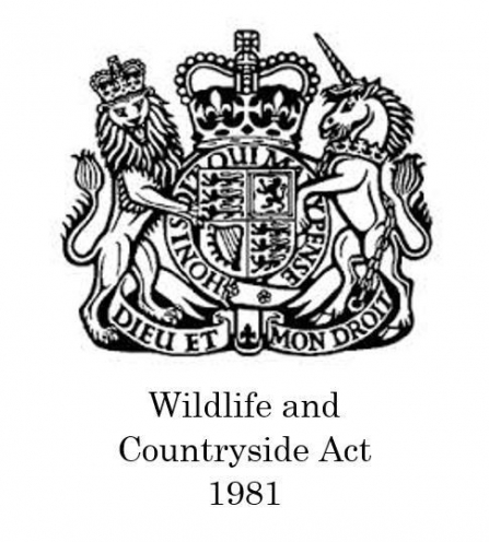 Wildlife and Countryside Act 1981