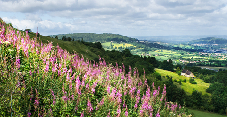 Crickley Hill (c) Adam Smith