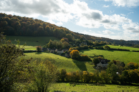 Swift Hill & Laurie Lee Wood - Nathan Millar