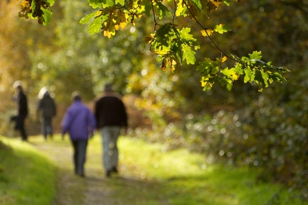 Couple walking - Ben Hall/2020VISION