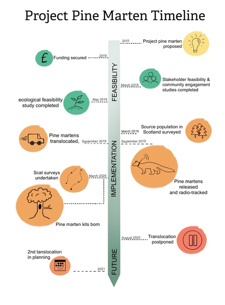 Project timeline