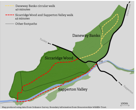 Walks around Daneway Banks, Siccaridge Wood and Sapperton Valley nature reserves.