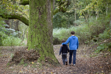 Walking through the woods_Peter Cairns/2020VISION