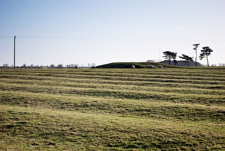 Ridge and Furrow from Wikimedia