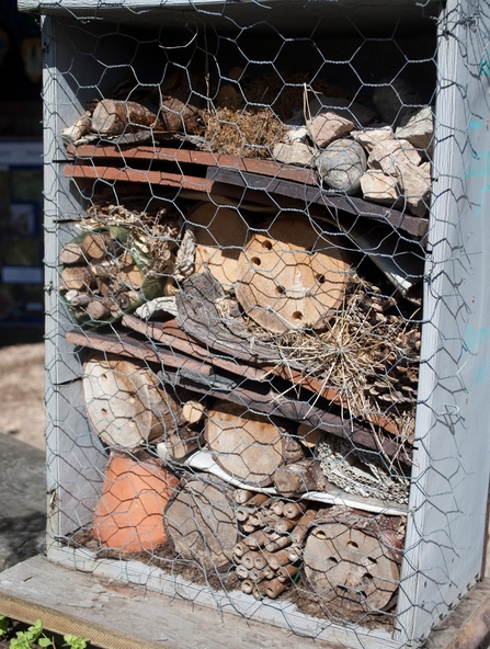 Bug_hotel_Amy_Lewis