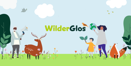 WilderGlos_GWT