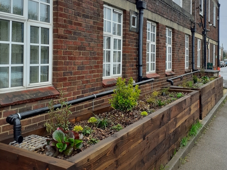 Rain Gardens at The Friendship Café