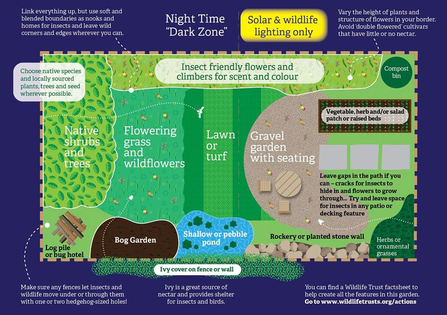 A guide to how to structure a wildlife garden