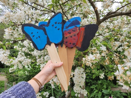 Painted wooden butterfly signs 