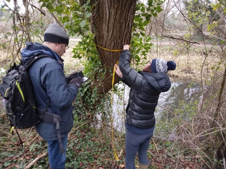 Tree inspection volunteers carrying out a survey