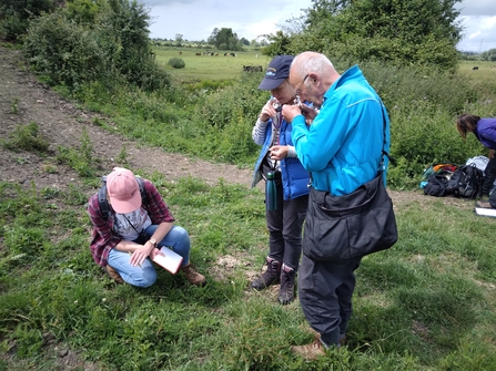 Members of Stroud Wildlife Survey Group surveying the ground vegetation in Whitminster