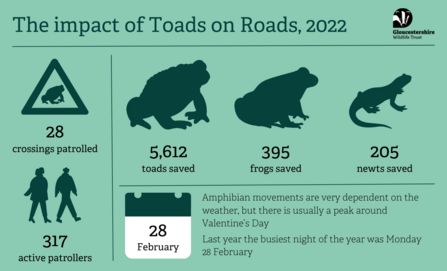 The impact of Toads on Roads in 2022 graphic