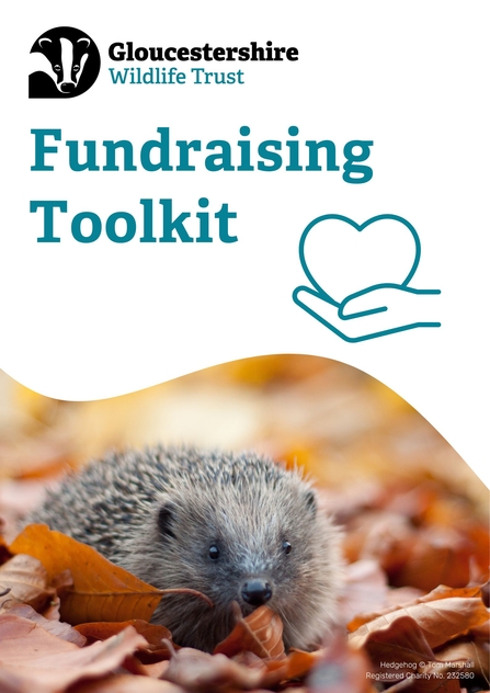 Fundraising toolkit page