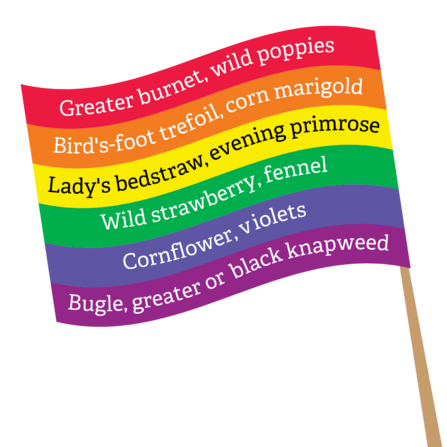 #WilderPride flag with flower species