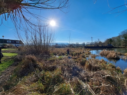 Removing rushes, bramble thickets and young willows at the Ocean in Stonehouse