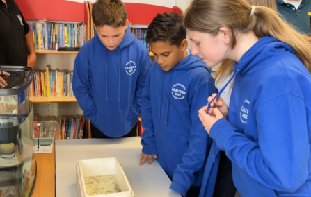 Whitminster primary students next to their tank of eels